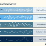 types of cerebral waves and their impact on productivity