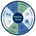 transform your life at the quantic life seminar insights and practices for holistic well being