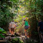 tropical jungle adventures essential tips for safe and immersive exploration